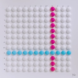 TwelveFold item 21 of 300