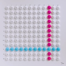 TwelveFold item 22 of 300