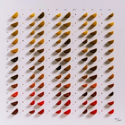 TwelveFold item 120 of 300