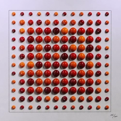 TwelveFold item 125 of 300